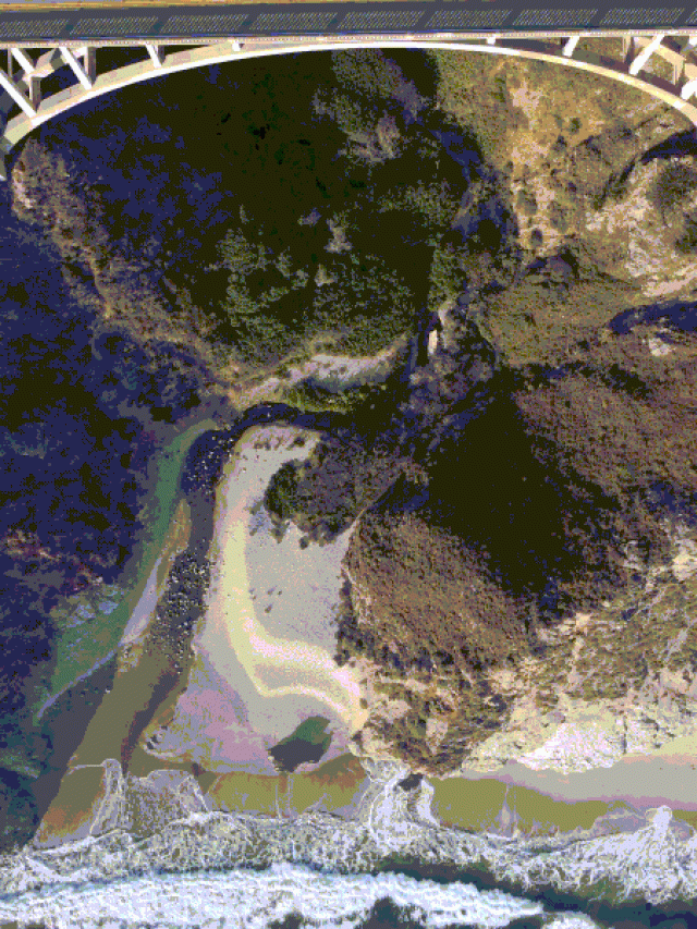 For Product Managers ->